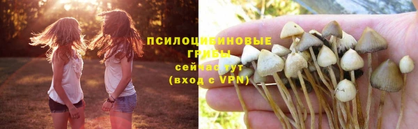 дмт Майский