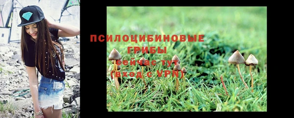 дмт Майский