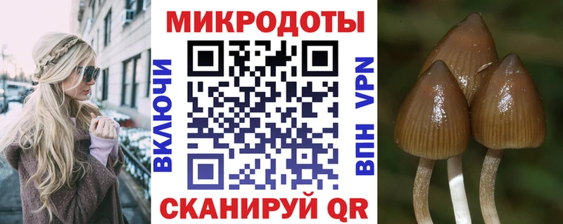 Псилоцибиновые грибы мицелий  где можно купить   Белогорск 