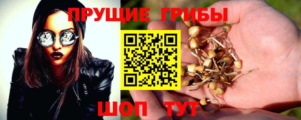 Псилоцибиновые грибы мухоморы Белогорск